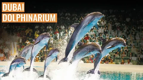 Dolphinarium Dubai