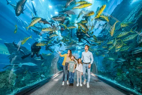 Dubai Aquarium & Under Water Zoo