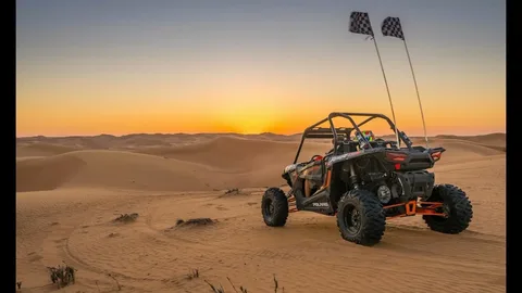 Red Dunes Evening Desert Safari With Dune Buggy Ride